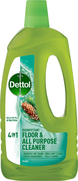 Dettol 4in1 Floor and All Purpose Cleaner Pine